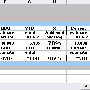 territory_report_excel.gif
